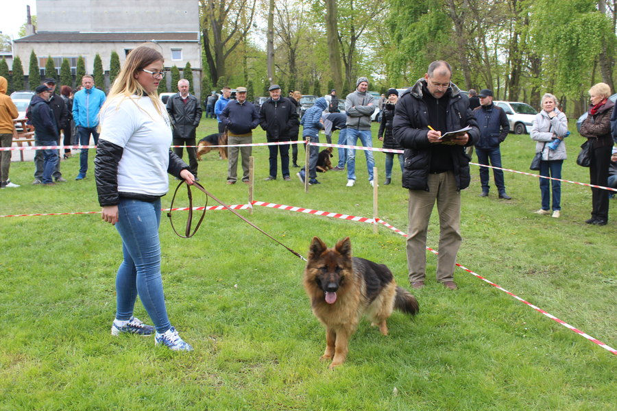 Pierwsza wystawa i ogromny sukces - film