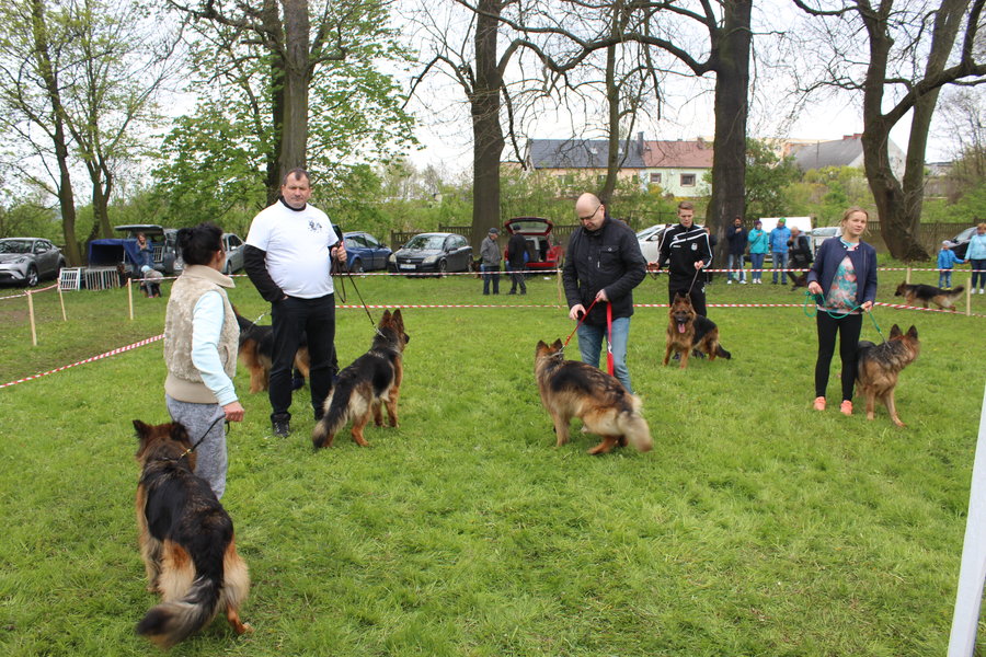 Pierwsza wystawa i ogromny sukces - film