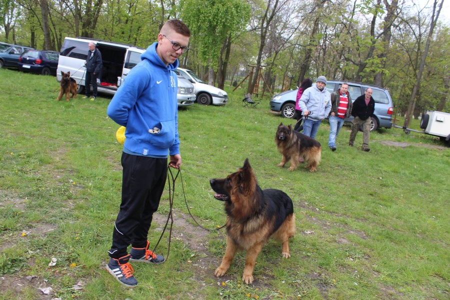 Pierwsza wystawa i ogromny sukces - film