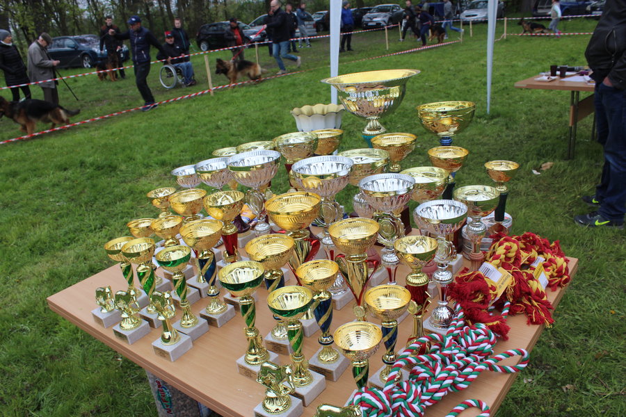 Pierwsza wystawa i ogromny sukces - film