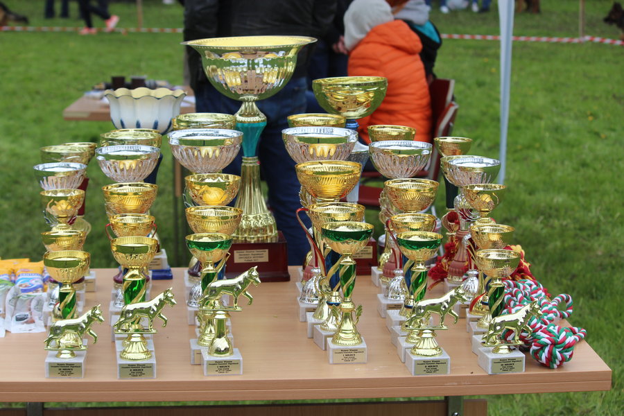 Pierwsza wystawa i ogromny sukces - film