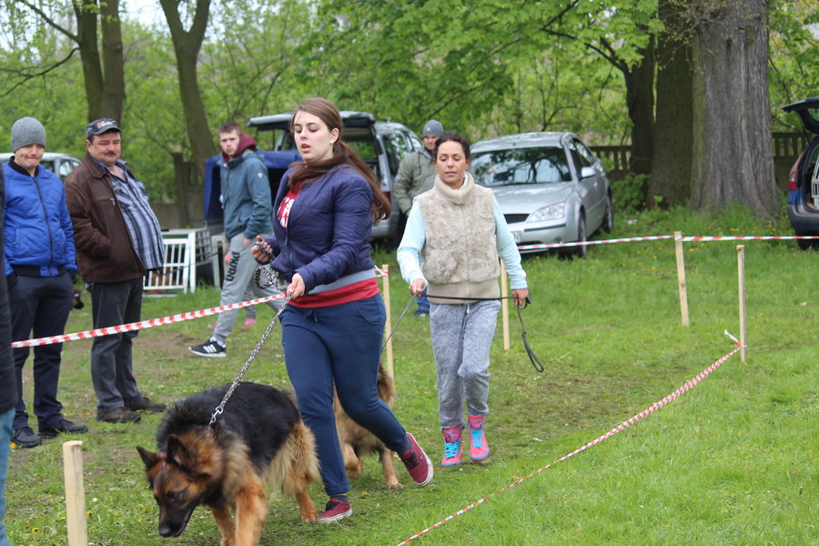 Pierwsza wystawa i ogromny sukces - film