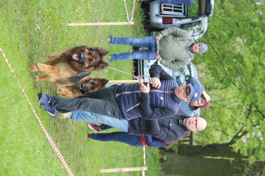 Pierwsza wystawa i ogromny sukces - film