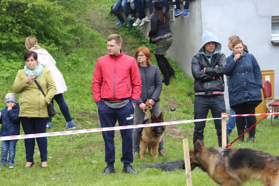 Pierwsza wystawa i ogromny sukces - film