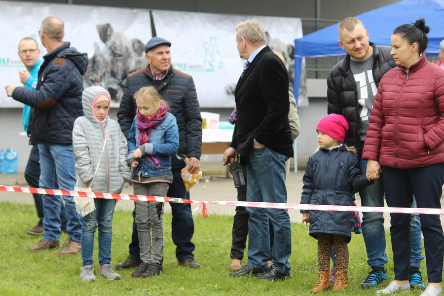 Pierwsza wystawa i ogromny sukces - film