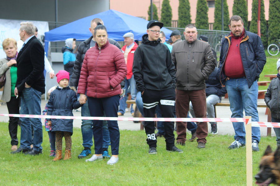 Pierwsza wystawa i ogromny sukces - film