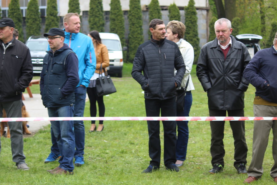 Pierwsza wystawa i ogromny sukces - film