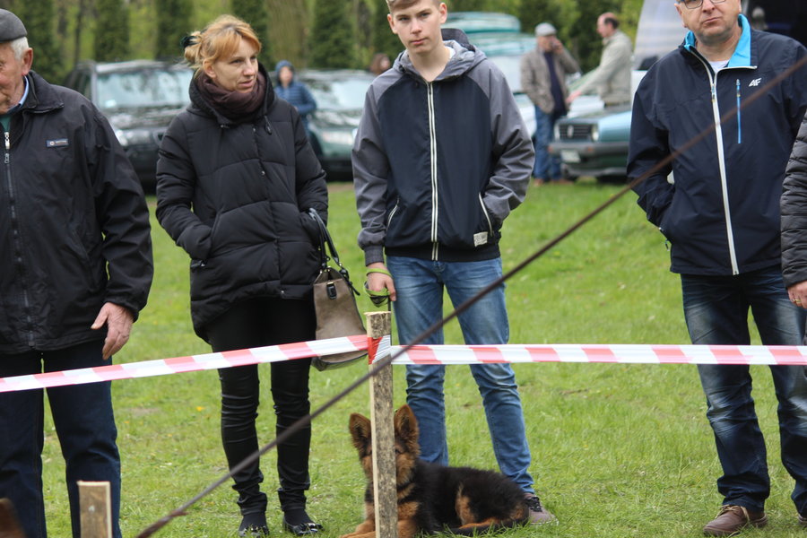 Pierwsza wystawa i ogromny sukces - film