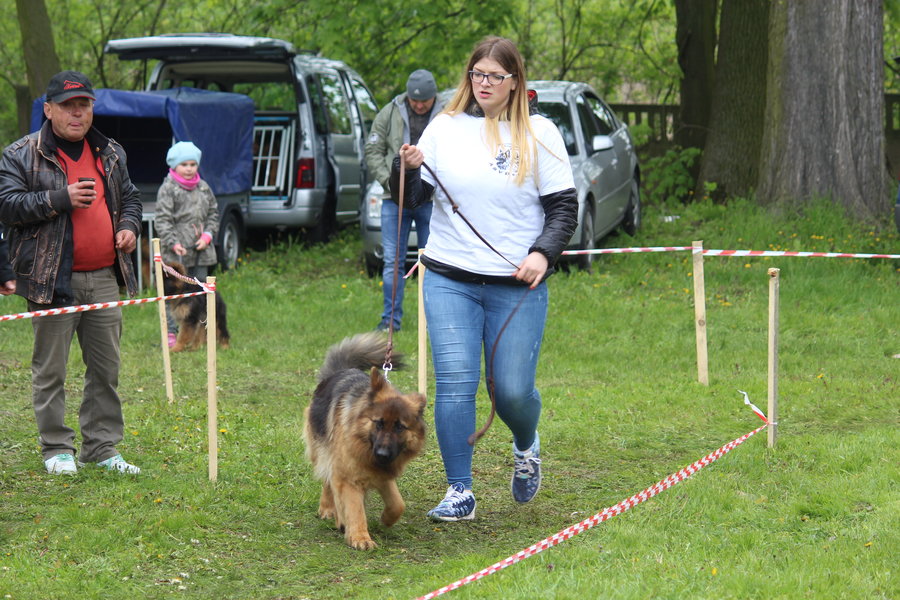 Pierwsza wystawa i ogromny sukces - film