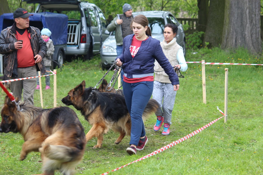 Pierwsza wystawa i ogromny sukces - film