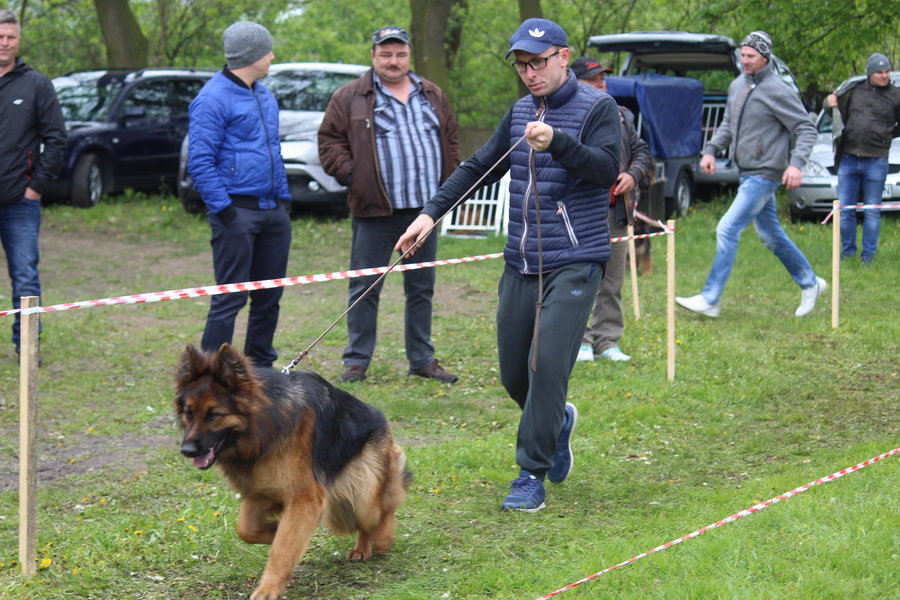 Pierwsza wystawa i ogromny sukces - film