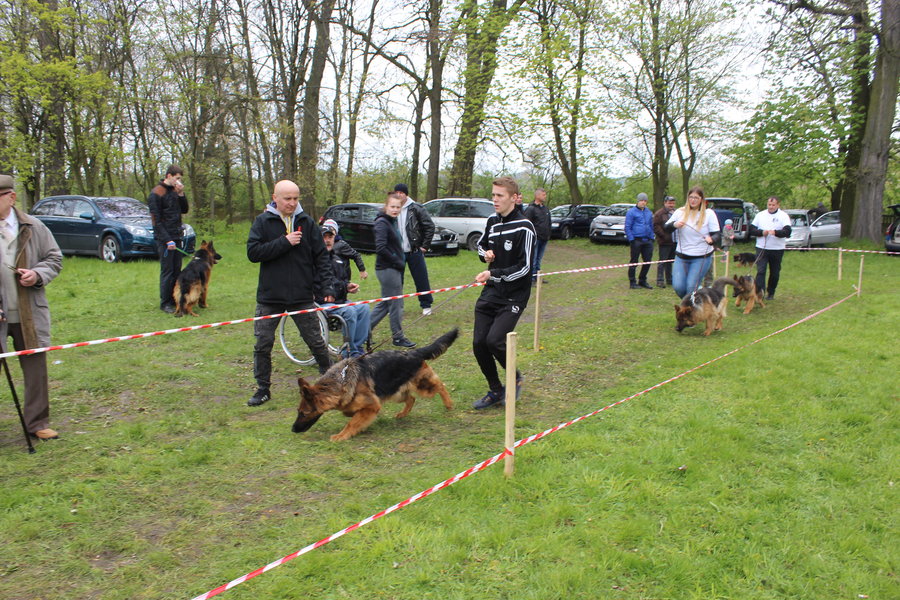 Pierwsza wystawa i ogromny sukces - film