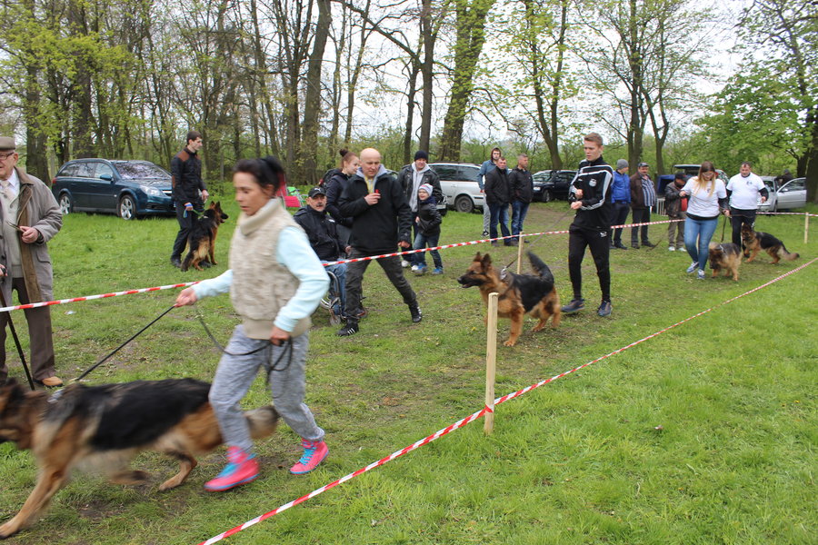 Pierwsza wystawa i ogromny sukces - film
