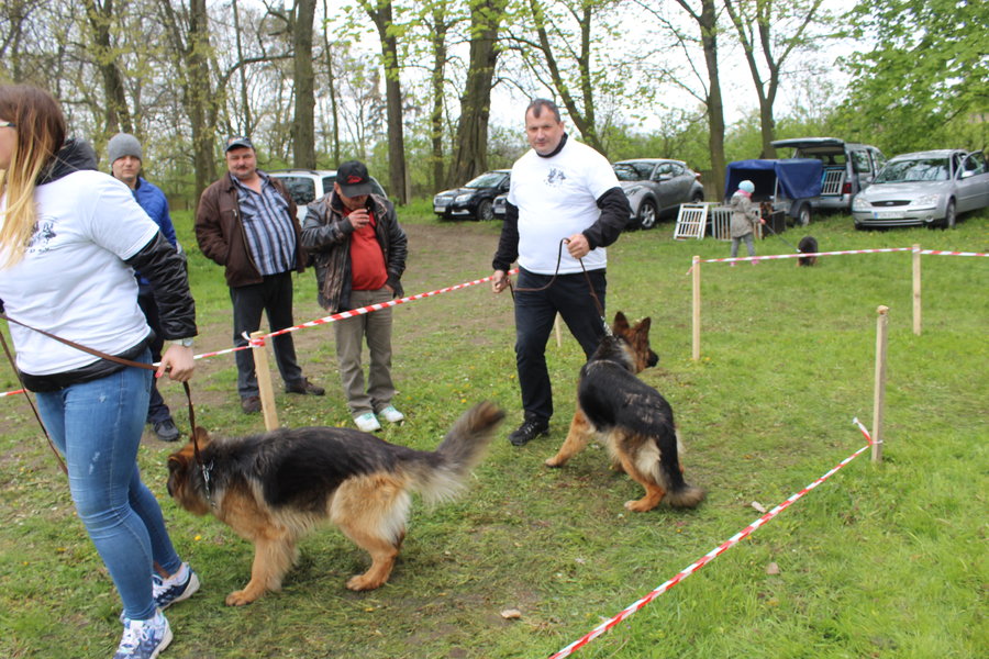 Pierwsza wystawa i ogromny sukces - film