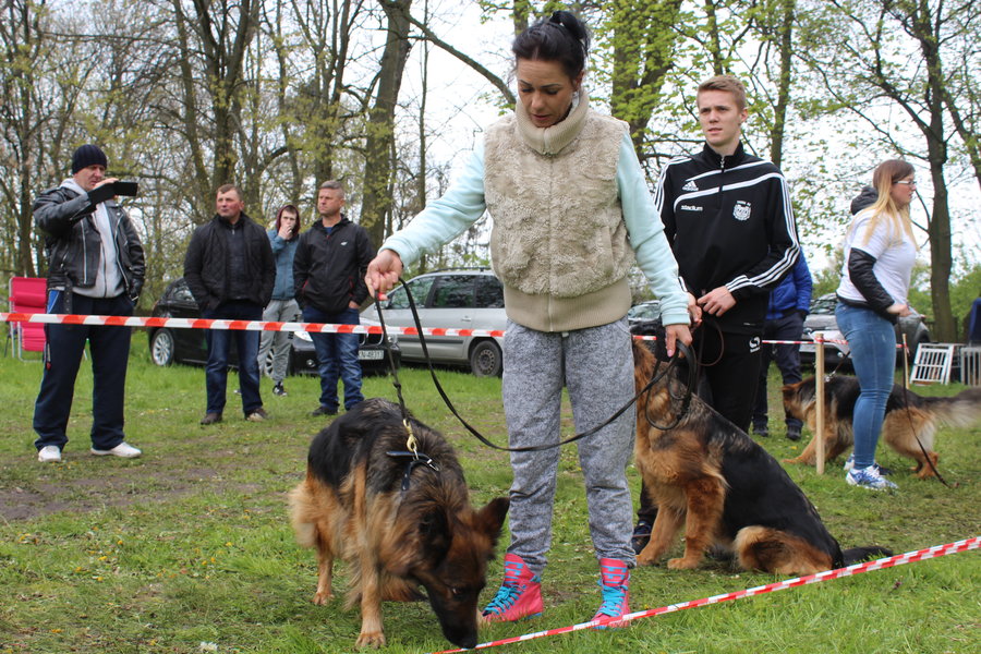 Pierwsza wystawa i ogromny sukces - film