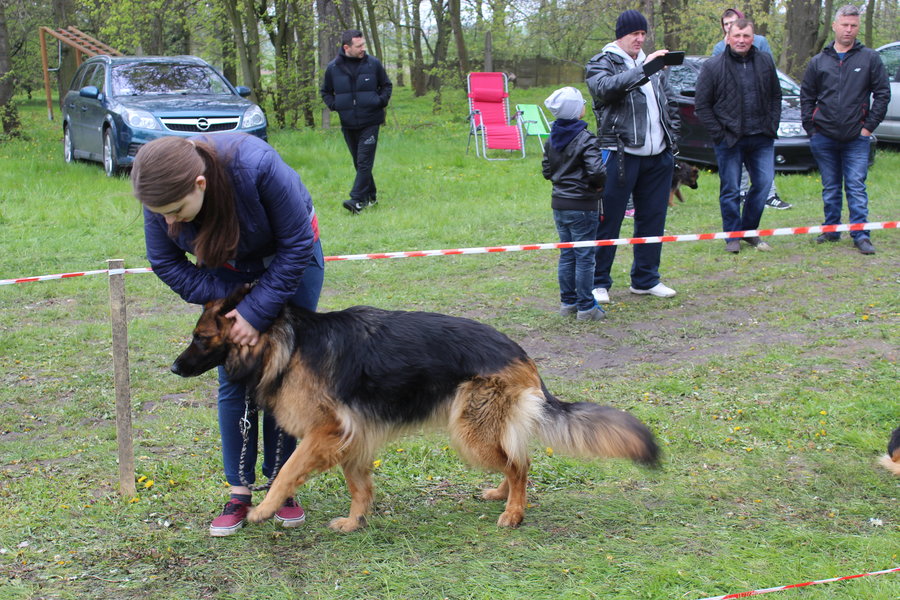 Pierwsza wystawa i ogromny sukces - film