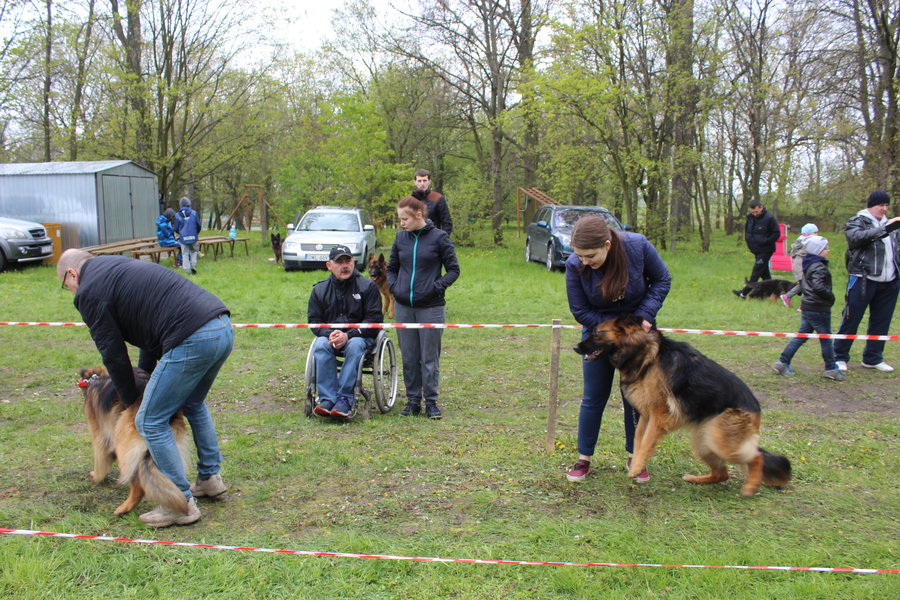 Pierwsza wystawa i ogromny sukces - film