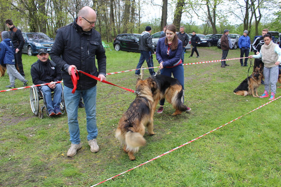 Pierwsza wystawa i ogromny sukces - film