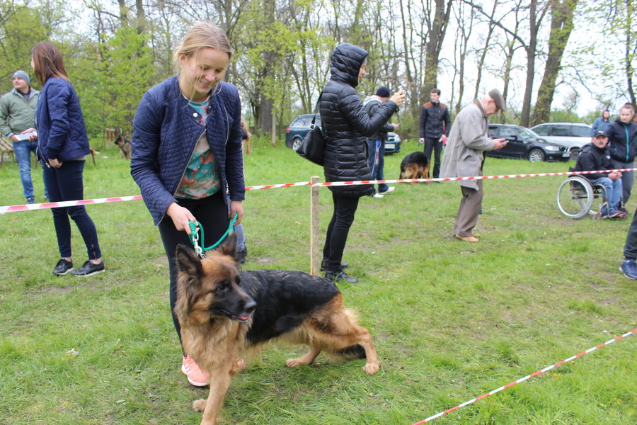 Pierwsza wystawa i ogromny sukces - film