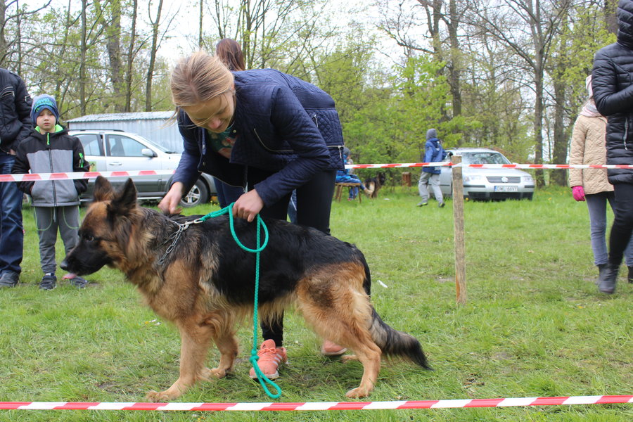 Pierwsza wystawa i ogromny sukces - film
