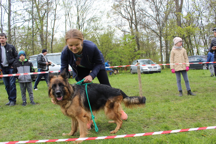 Pierwsza wystawa i ogromny sukces - film