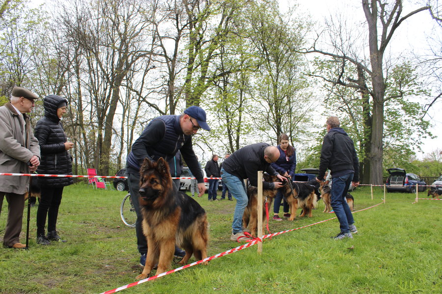 Pierwsza wystawa i ogromny sukces - film