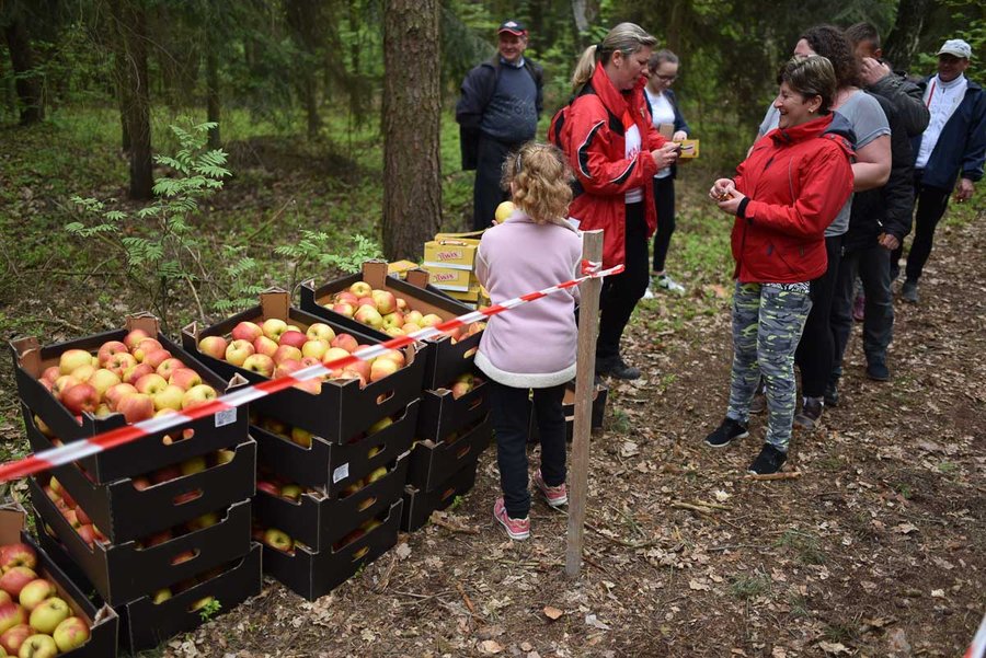 Bieg Wiosny na biało-czerwono (film)