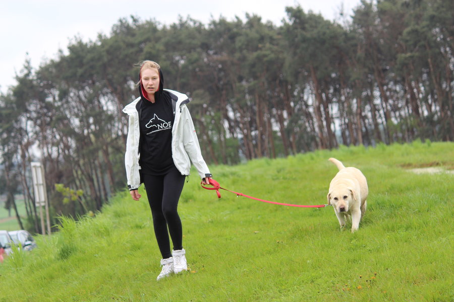 To nie zabawka. Nie wszyscy o tym wiedzą