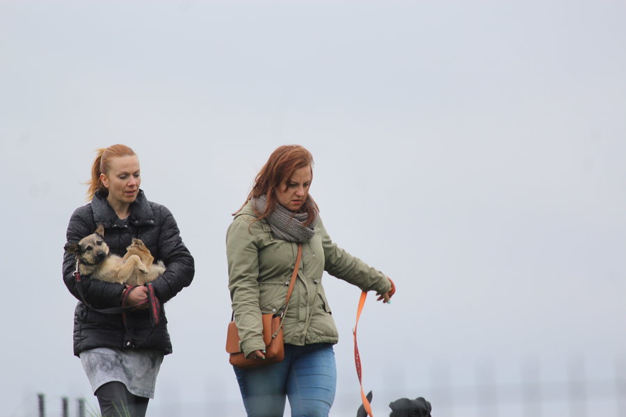 To nie zabawka. Nie wszyscy o tym wiedzą