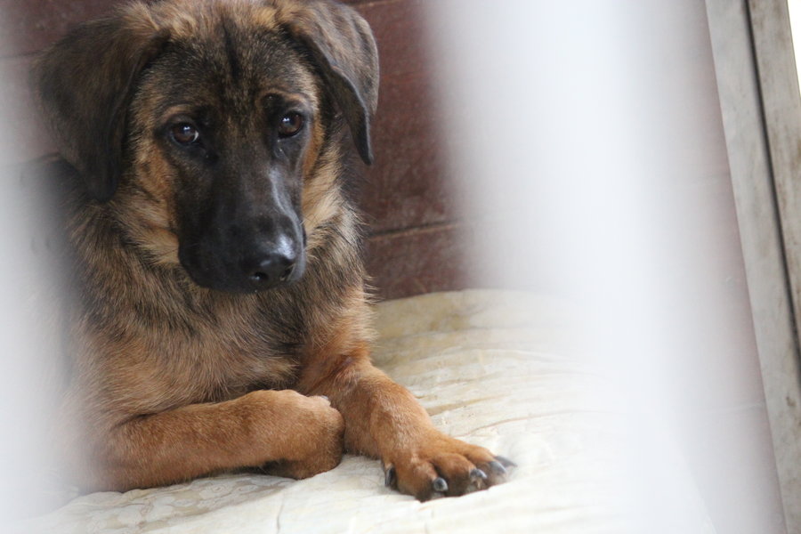 To nie zabawka. Nie wszyscy o tym wiedzą