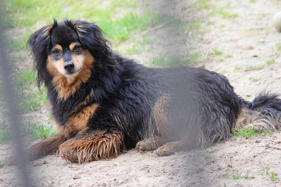 To nie zabawka. Nie wszyscy o tym wiedzą
