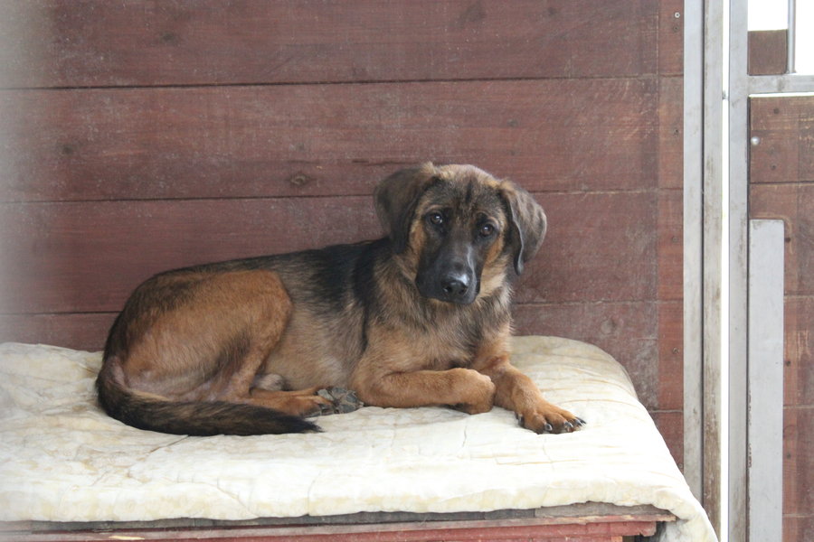 To nie zabawka. Nie wszyscy o tym wiedzą