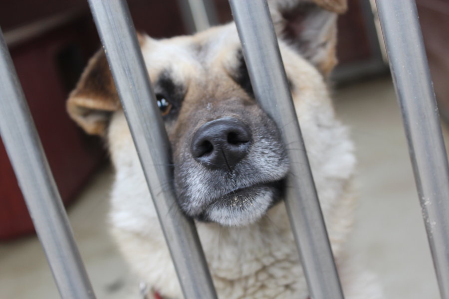 To nie zabawka. Nie wszyscy o tym wiedzą