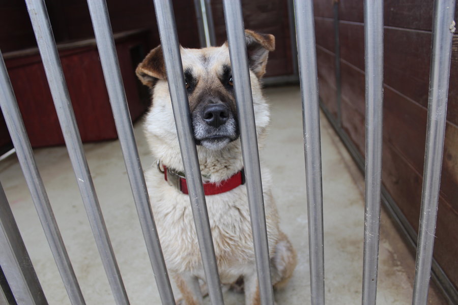 To nie zabawka. Nie wszyscy o tym wiedzą