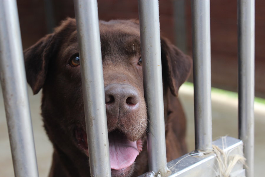To nie zabawka. Nie wszyscy o tym wiedzą