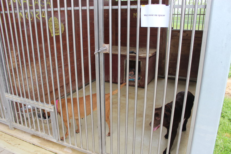 To nie zabawka. Nie wszyscy o tym wiedzą