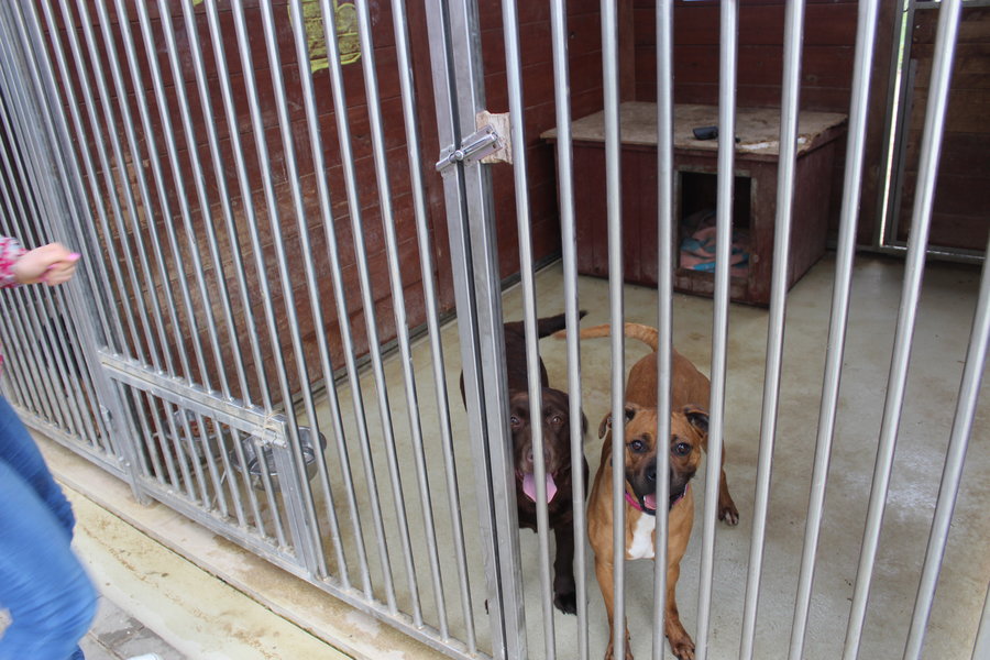 To nie zabawka. Nie wszyscy o tym wiedzą