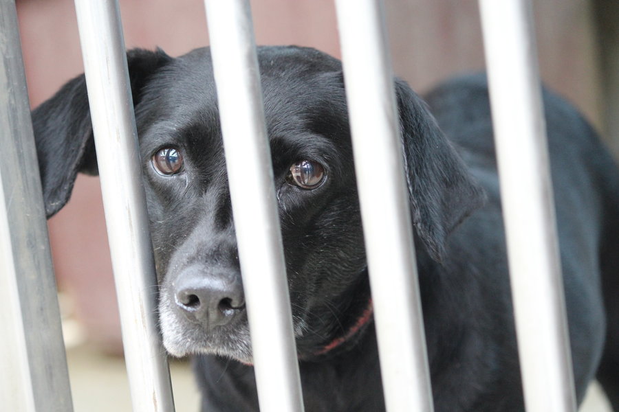 To nie zabawka. Nie wszyscy o tym wiedzą