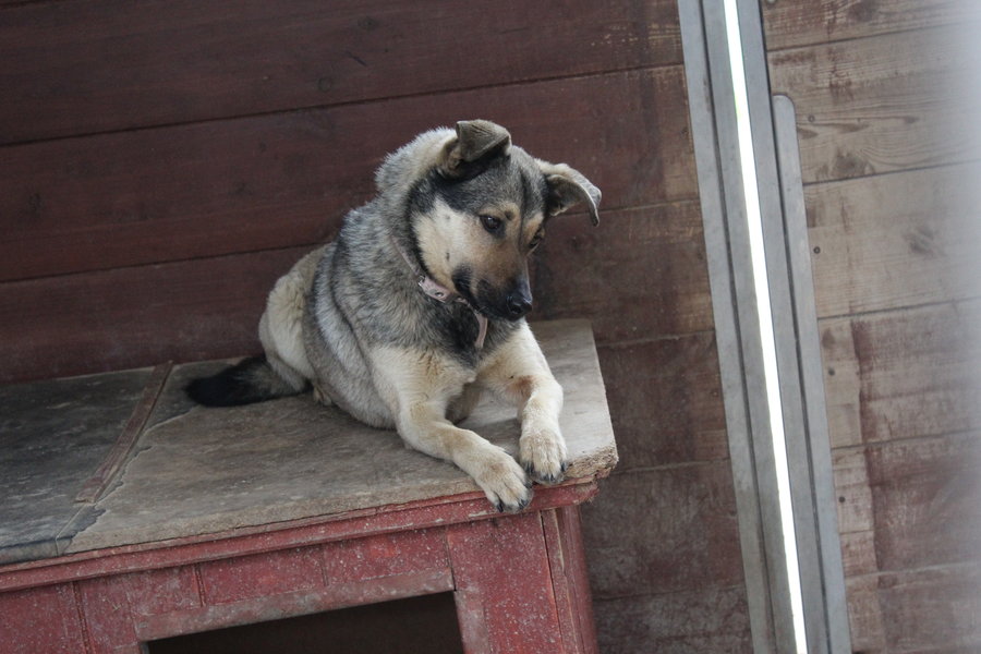 To nie zabawka. Nie wszyscy o tym wiedzą
