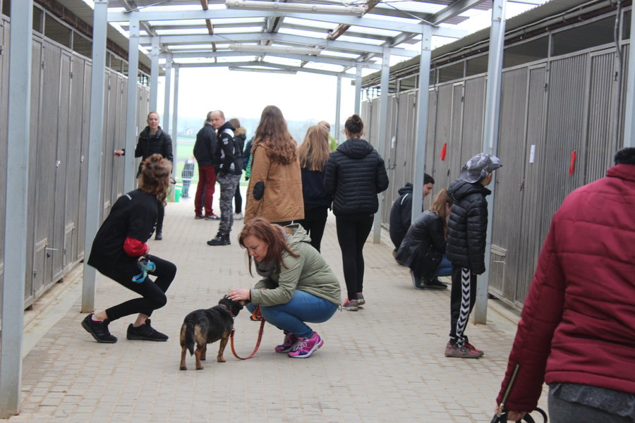 To nie zabawka. Nie wszyscy o tym wiedzą