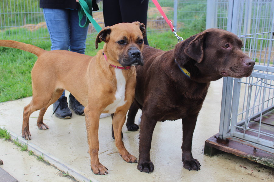 To nie zabawka. Nie wszyscy o tym wiedzą