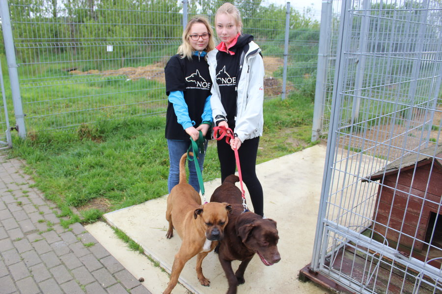 To nie zabawka. Nie wszyscy o tym wiedzą