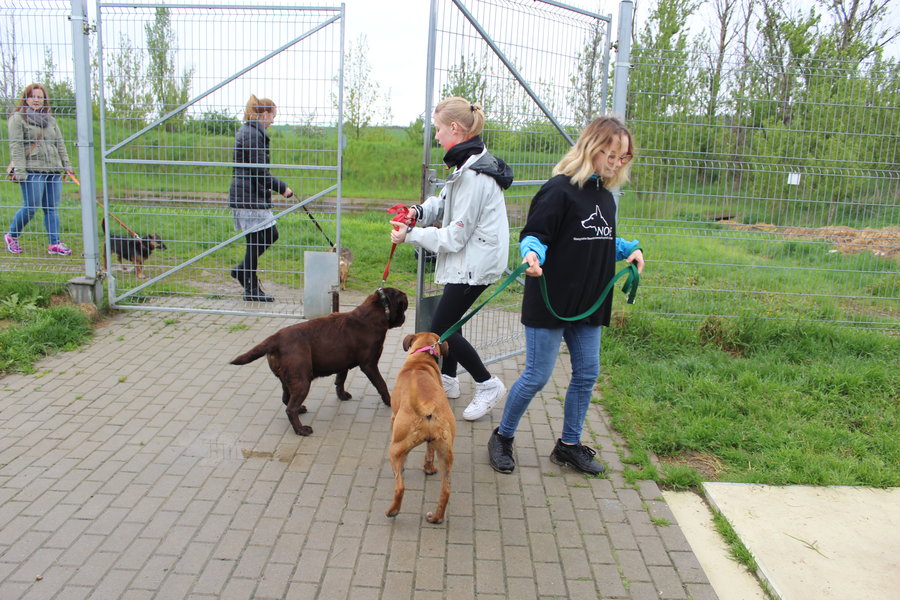To nie zabawka. Nie wszyscy o tym wiedzą