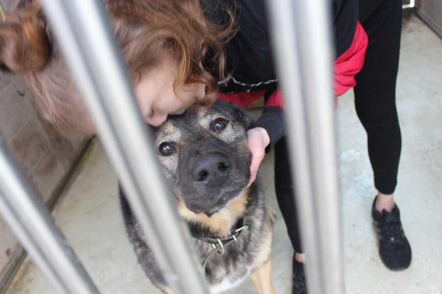 To nie zabawka. Nie wszyscy o tym wiedzą