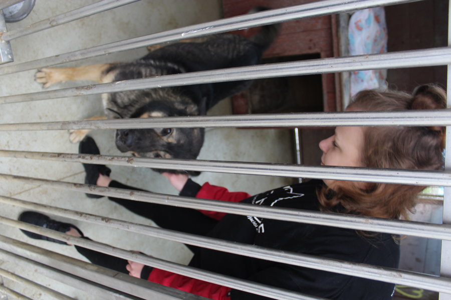 To nie zabawka. Nie wszyscy o tym wiedzą