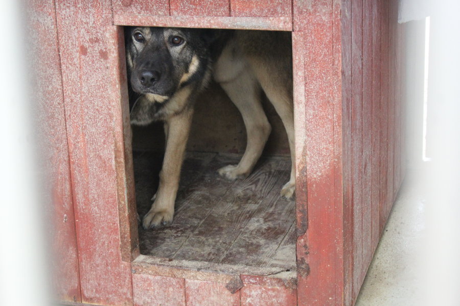 To nie zabawka. Nie wszyscy o tym wiedzą