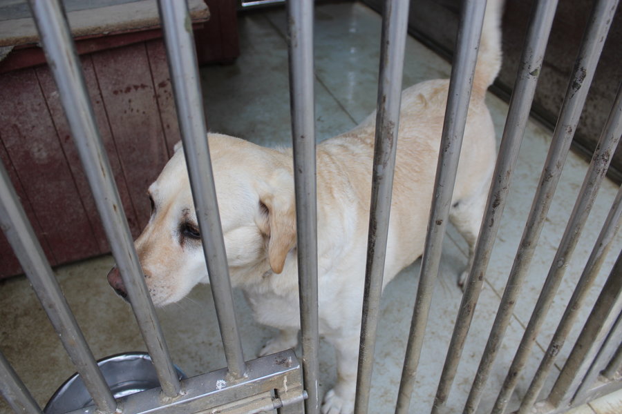 To nie zabawka. Nie wszyscy o tym wiedzą