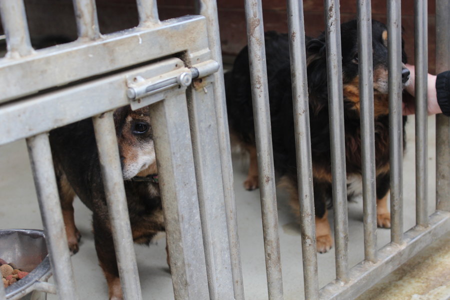 To nie zabawka. Nie wszyscy o tym wiedzą