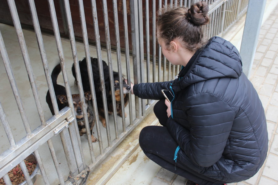 To nie zabawka. Nie wszyscy o tym wiedzą