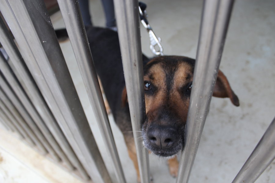 To nie zabawka. Nie wszyscy o tym wiedzą